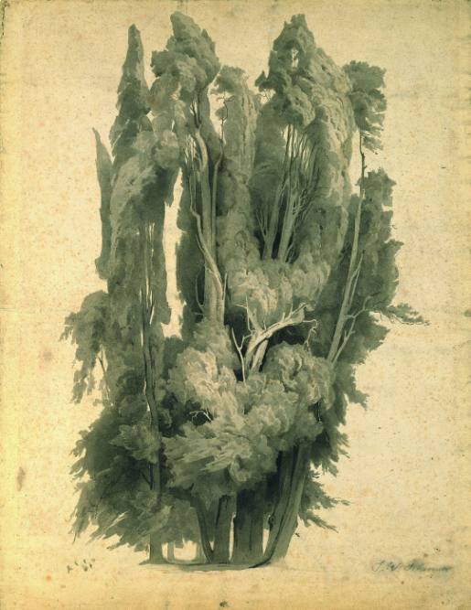 Cypresses in the Park of Villa d'Este near Tivoli