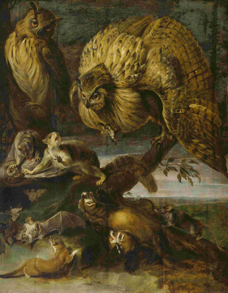 Frans Snyders