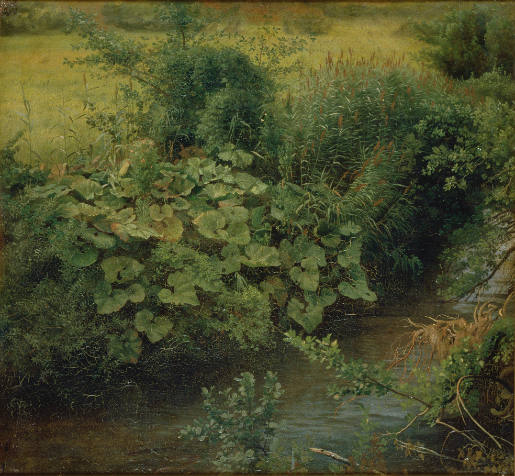 "Parthie" at the Düssel River with Butterbur (Wiesenbach)