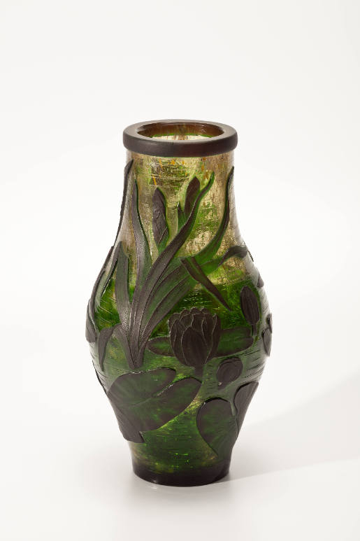 Vase with water plants