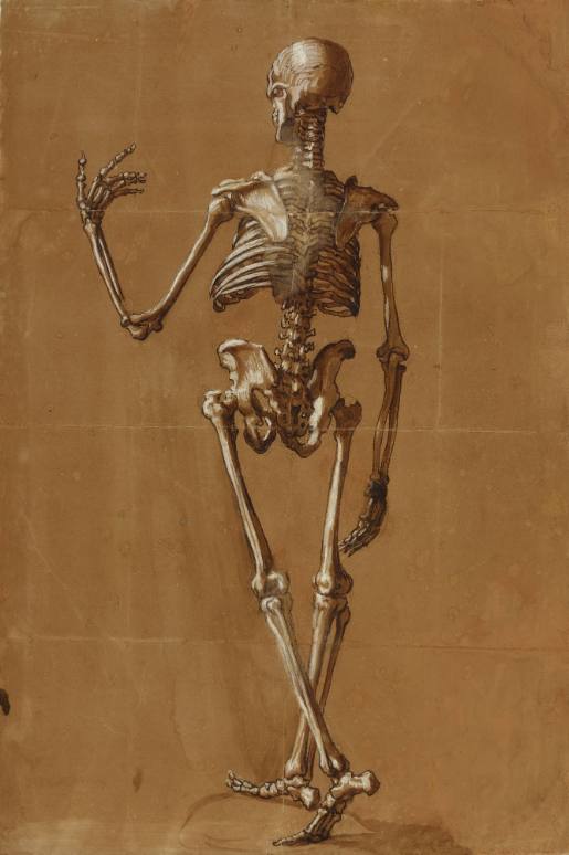 Standing Skeleton