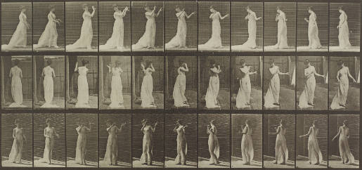 Walking and Turning Around, Action of Aversion, Animal Locomotion, Plate 55