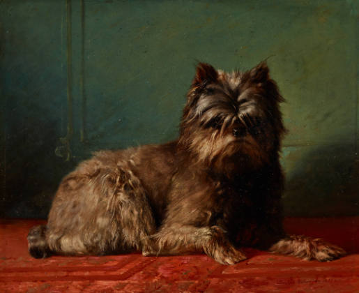 Portrait of a Dog