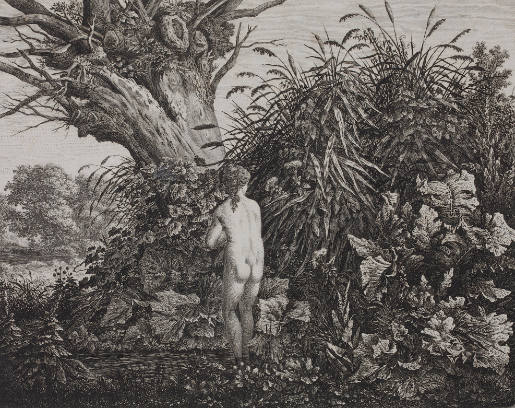 Bathing Girl in Front of Dead Willow And Herbs