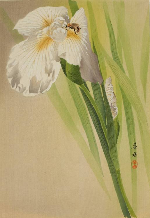 Stellvertretendes Bild für Japanische Kunst