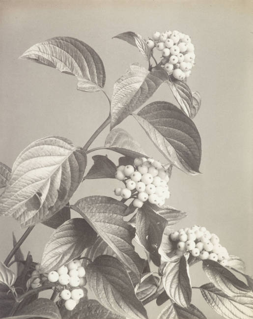 Stellvertretendes Bild für 1900 – 1945
