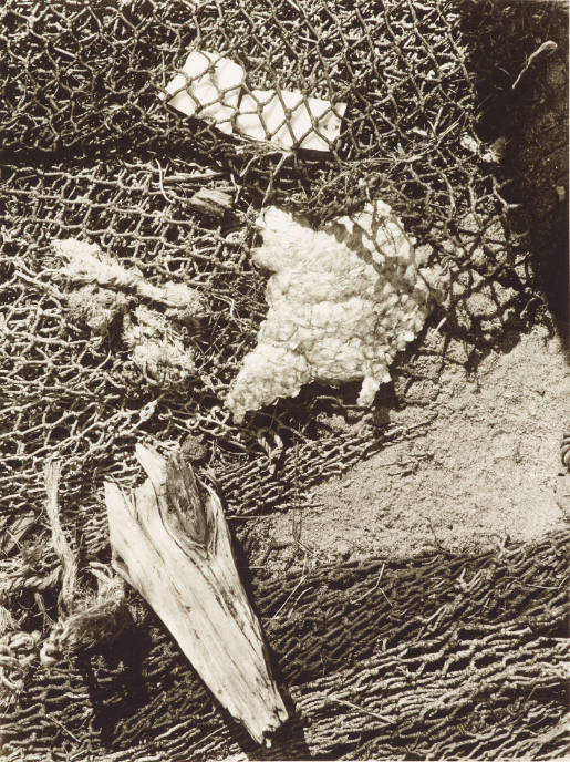 Stellvertretendes Bild für 1900 – 1945