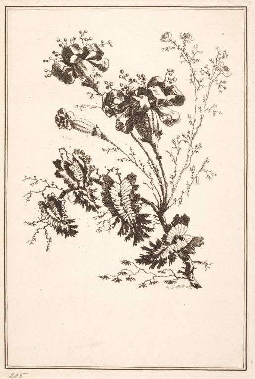 Ideal Flowers (For Manufacturers of Indian Textiles)