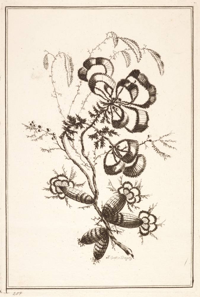 Arnauld Eloi Gautier D'Agoty