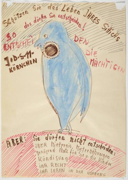 Protect the Life of your Parakeet