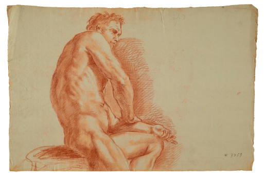 Study of a Nude Man