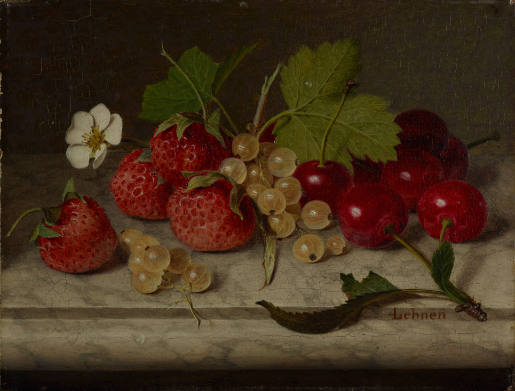Still Life