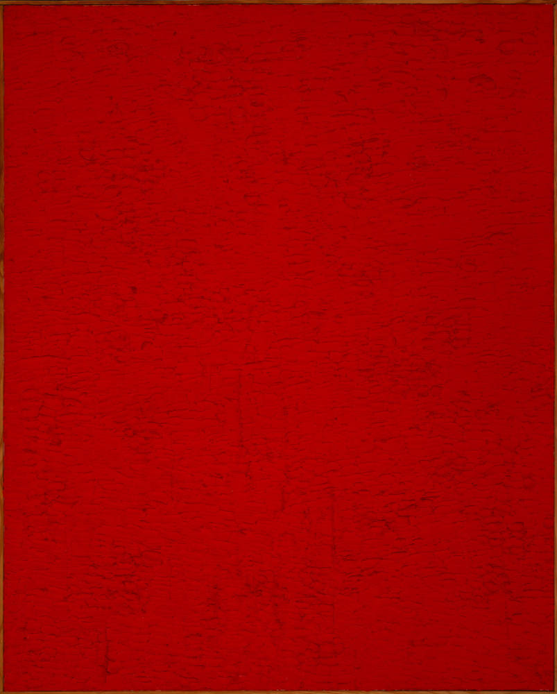 Rot, Rot, Rot