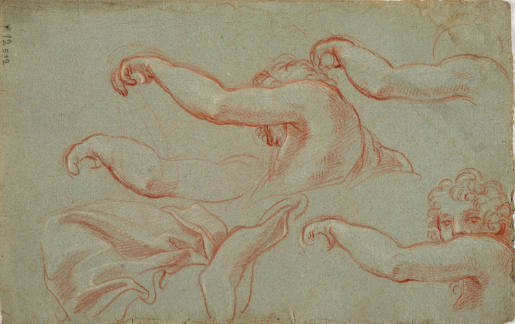 Studies of a Raised Arm for the Ceiling Painting in the Gallery of the Palazzo Patrizi in Castelgiuliano