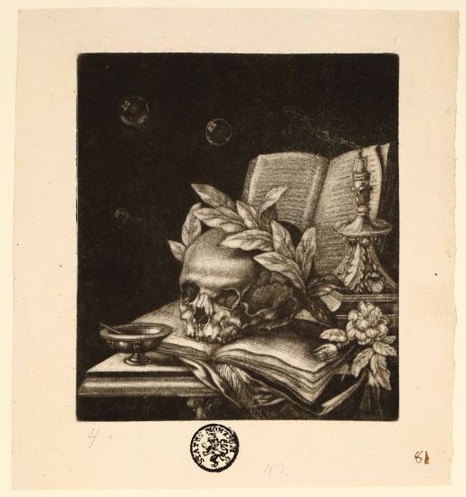 Vanitas Still Life with Skull