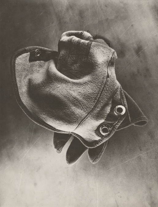 Glove, Still Life, 1929
