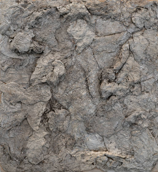 Image representation for Sammlung Kemp