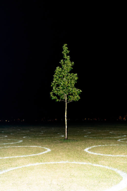 Ohne Titel (Freitag, Rheinpark, Düsseldorf, Juni 2020)