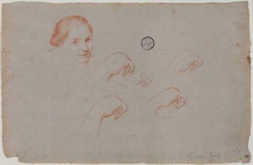 Studies for a Female Portrait